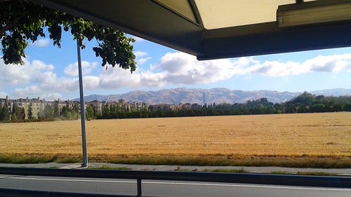 Downtown San Jose Hay Bailing by tadnkat