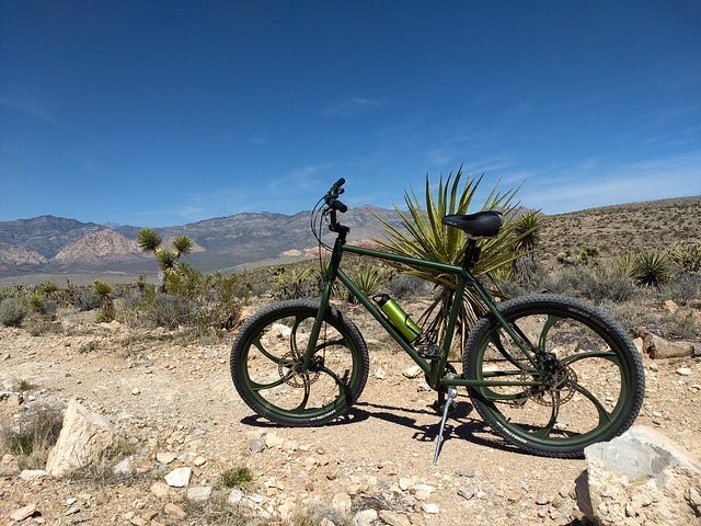 My Security Rental Bike in Vegas @ Red Rock Canyon