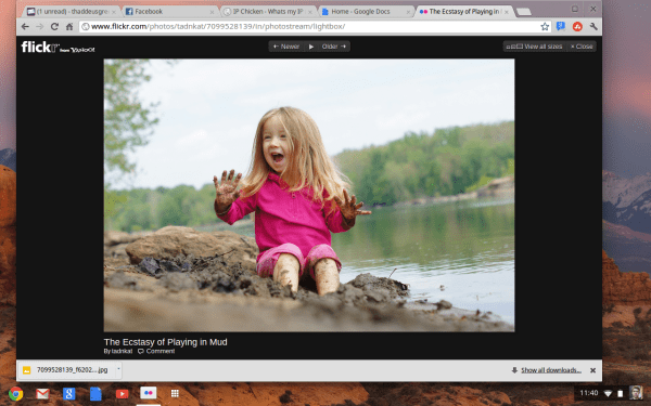 ChromeOS 20 - Aura UI - Screenshot showing Windowed Chrome on a CR-48 Chromebook