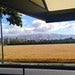 Downtown San Jose Hay Bailing